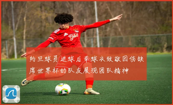 约旦球员进球后举球衣致敬因伤缺席世界杯的队友展现团队精神